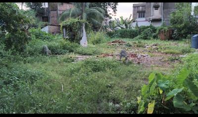 Madhyapara Plot View 2
