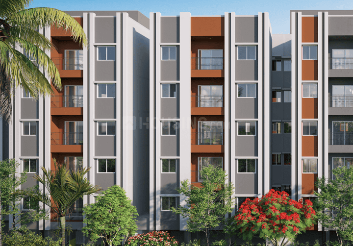 Radiance Prime Main Image 1