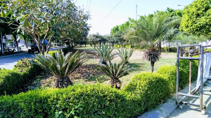 Omaxe Indore Greens Ext Main Image 1