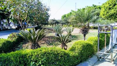 Residential Plot