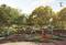 Skye Luxuria City Main Image 1