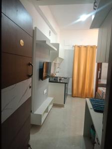 Kitchen Image of 350 Sq.ft 1 RK Apartment / Flat for rent in Brookefield Bengaluru for Rs. 22000
