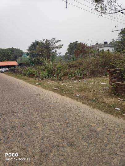 Ramchandrapur, Narendrapur Main Image 1