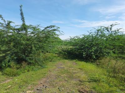 Residential Plot
