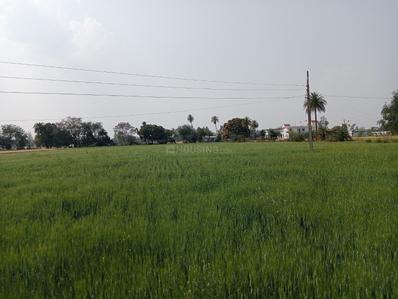 Image of 10000 Sq.ft Residential Plot / Land for sale in Ayodhya Bypass, Bhopal for Rs. 2500000