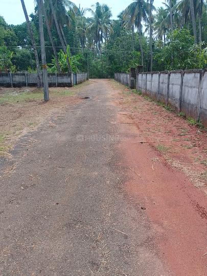 Kaiparambu Main Image 1