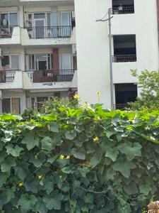 Image of 2310 Sq.ft Residential Plot / Land for sale in Janta Sector 90 And 91 Residential Plots, Sector 91, Mohali for Rs. 34000000