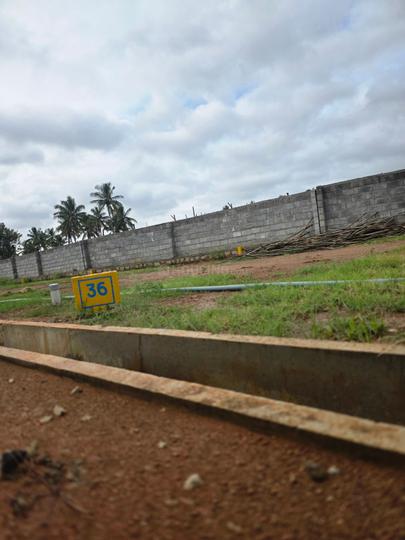 Devanahalli Main Image 1