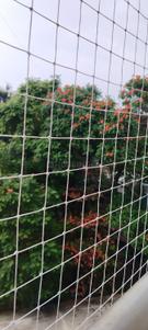 Balcony Image of 1500 Sq.ft 3 BHK Apartment / Flat for rent in Shriram La Tierra, Dhanori Pune for Rs. 42000