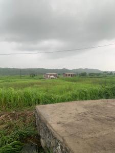 Image of 1089 Sq.ft Residential Plot / Land for sale in Bori Bk, Navi Mumbai for Rs. 500000