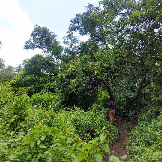 Talegaon Main Image 1