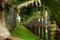 Hiranandani Gardens Solitaire Main Image 1