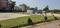 Elephantine Haven Main Image 1