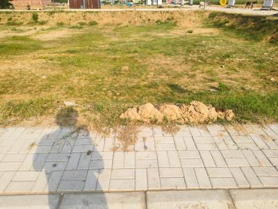 Image of 1089 Sq.ft Residential Plot / Land for sale in Reliance Met City, Yakubpur, Jhajjar for Rs. 12960000