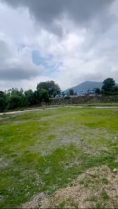 Badasi Greens Plot View 2