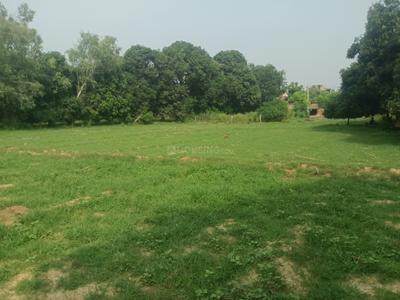 Image of 1000 Sq.ft Residential Plot / Land for sale in Amausi, Lucknow for Rs. 1700000