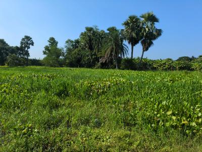 Image of 1800 Sq.ft Residential Plot / Land for sale in Natures Paradise, Joka, Kolkata for Rs. 375000