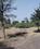 Vanthal Main Image 1