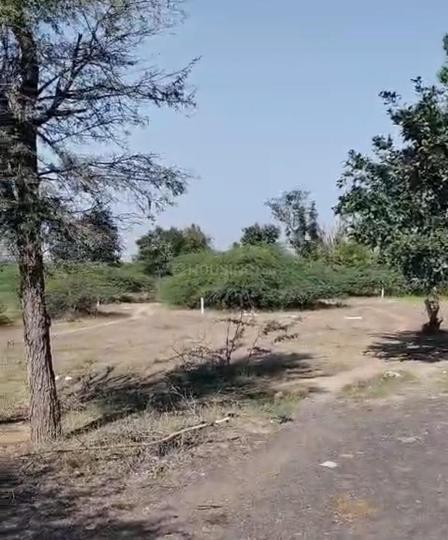 Vanthal Main Image 1