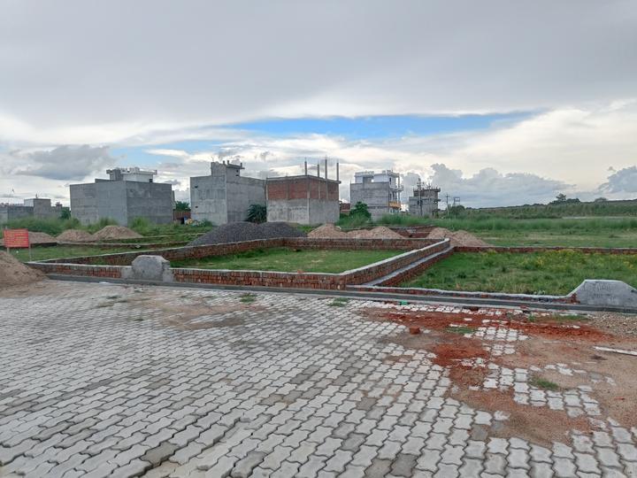 Shikhar green Main Image 1