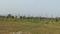 SONARPUR FREE LAND SALE Main Image 1