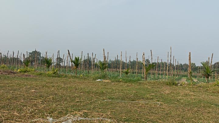SONARPUR FREE LAND SALE Main Image 1