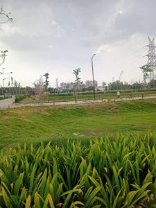 Residential Plot
