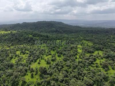 Image of 1089 Sq.ft Residential Plot / Land for sale in Pali, Raigad for Rs. 150000