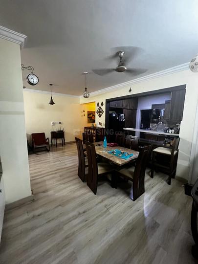 SJR Verity Main Image 1