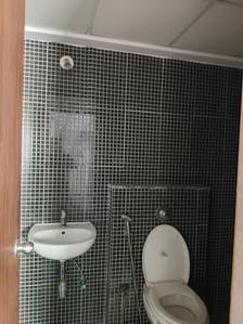 Common Bathroom Image of 850 Sq.ft 2 BHK Apartment / Flat for rent in Lodha Palava Downtown, Palava Phase 2 Thane for Rs. 15000