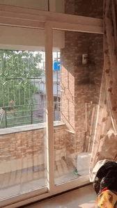 Image of 1382 Sq.ft 3 BHK Apartment / Flat for sale in Patuli, Kolkata for Rs. 9200000
