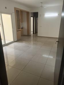 Hall Image of 1050 Sq.ft 2.5 BHK Apartment / Flat for rent in Gulshan Vivante, Sector 137 Noida for Rs. 30000