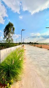 Bhumis Divi Dream Land Main Image 1