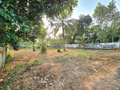 Kakkanad Plot View 3