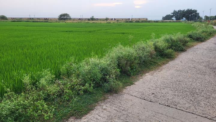 Santiniketan Main Image 1