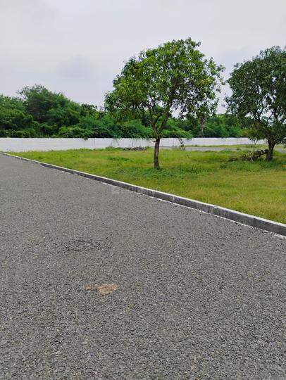 Nenmeli, Chengalpattu Main Image 1