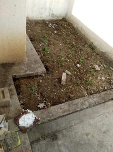 Bathroom Image of 1350 Sq.ft 3 BHK Independent House for sale in Kotewada Nagpur for Rs. 5000000