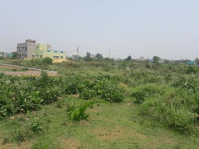 Residential Plot