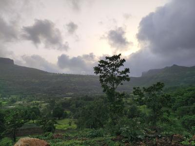 Igatpuri Plot View 3