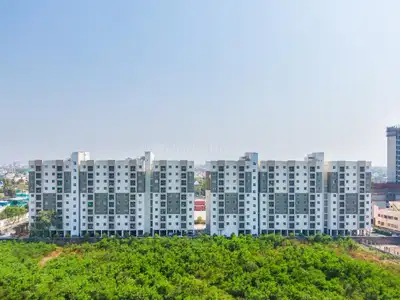3 BHK Flat
