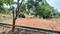 Sir M Vishweshwaraiah Layout 2nd Block Main Image 1