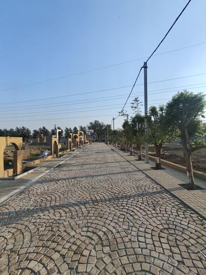 Murlies Avenue Main Image 1