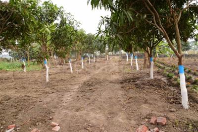 Image of 1440 Sq.ft Residential Plot / Land for sale in Basudebpur P, Kolkata for Rs. 2500000