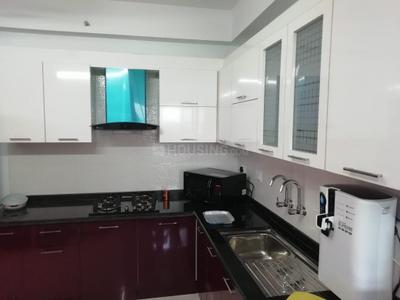 Kitchen Image of 1450 Sq.ft 3 BHK Apartment / Flat for rent in Maradu Kochi for Rs. 40000