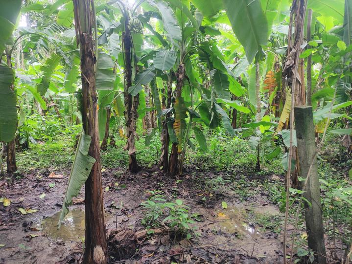 Block A, Kalyani Main Image 1