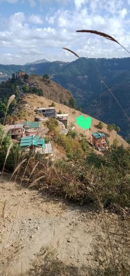 Chalonti, Sanjauli Main Image 1