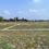 Bihta Main Image 1