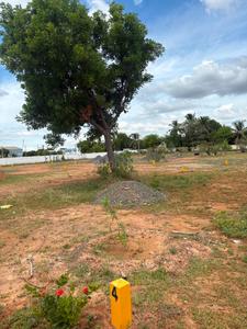 Mathur Plot View 2