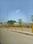 Dholera Plot View 2