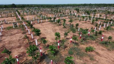 Image of 1200 Sq.ft Residential Plot / Land for sale in Vengal, Chennai for Rs. 900000